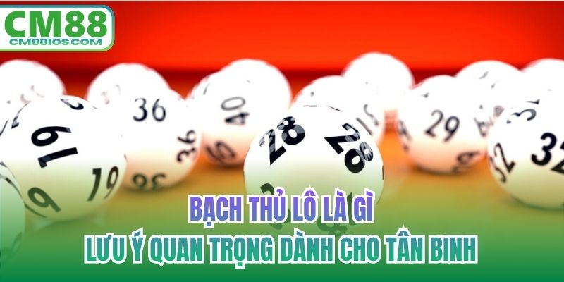 bạch thủ lô là gì