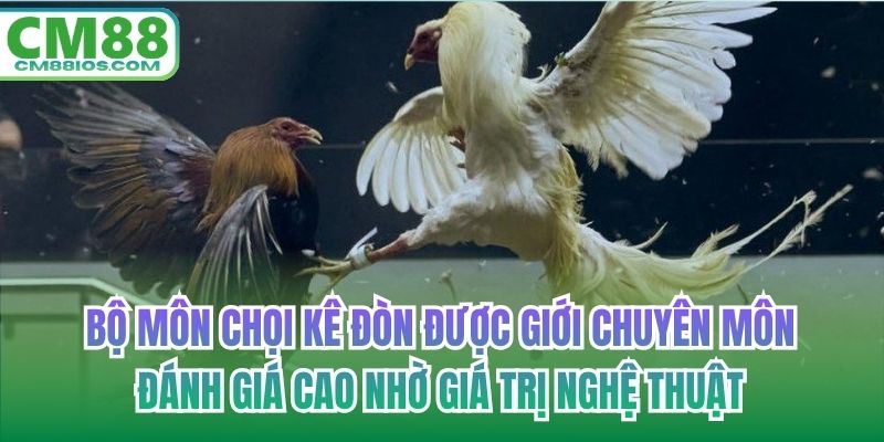 Bộ môn chọi kê đòn được giới chuyên môn đánh giá cao nhờ giá trị nghệ thuật