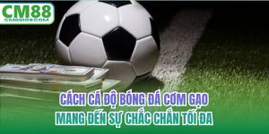 cách cá độ bóng đá cơm gạo