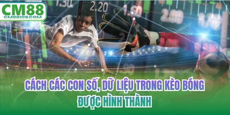 Cách các con số, dữ liệu trong kèo bóng được hình thành