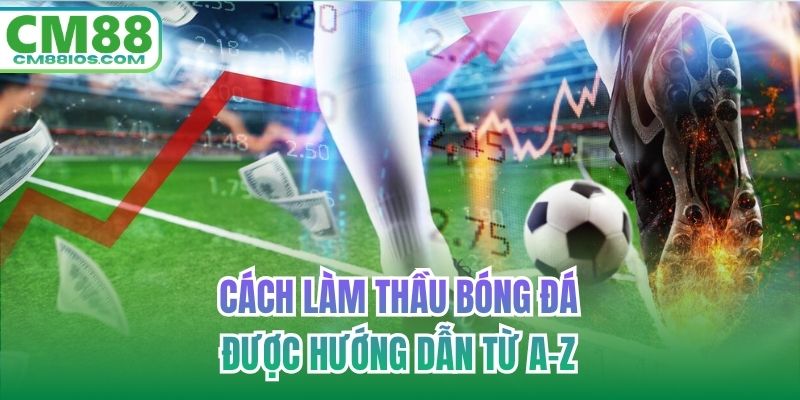 Cách làm thầu bóng đá được hướng dẫn từ A-Z