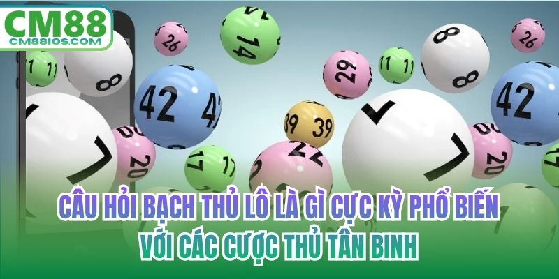 Câu hỏi bạch thủ lô là gì cực kỳ phổ biến với các cược thủ tân binh