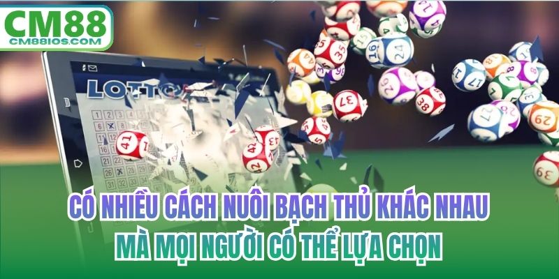 Có nhiều cách nuôi bạch thủ khác nhau mà mọi người có thể lựa chọn