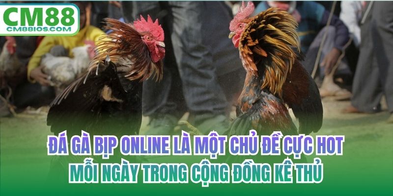 Đá gà bịp online là một chủ đề cực hot mỗi ngày trong cộng đồng kê thủ