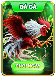 đá gà cm88