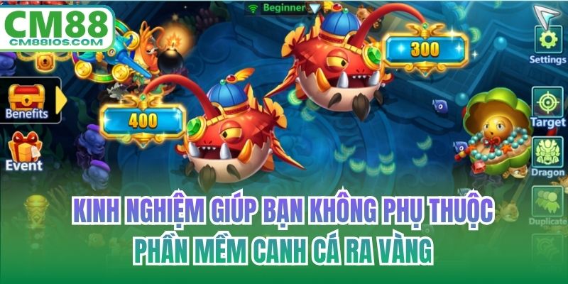 Kinh nghiệm giúp bạn không phụ thuộc phần mềm canh cá ra vàng