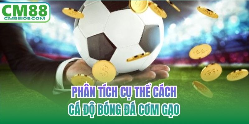 Phân tích cụ thể cách cá độ bóng đá cơm gạo