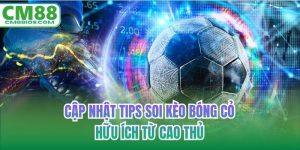 Tips soi kèo bóng cỏ